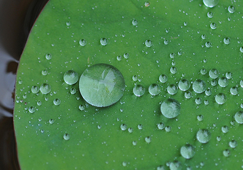 フッ素フリー撥水剤:ネオシード NR-7000シリーズ